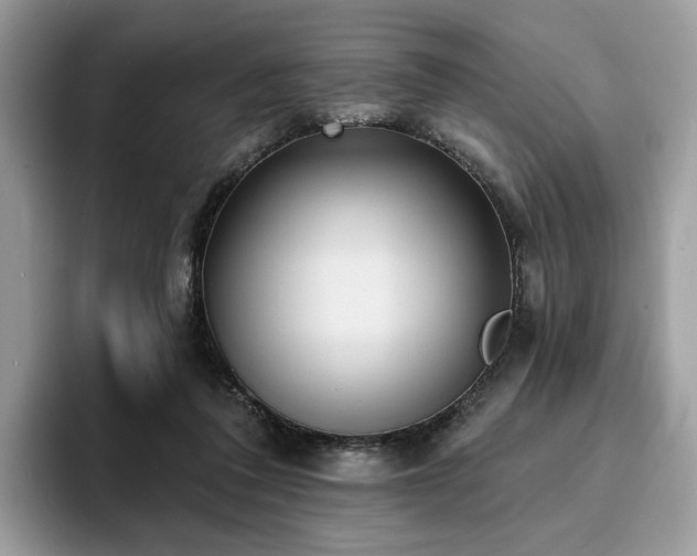 X0000094070308200710191125