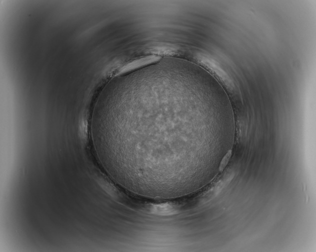X0000094070309200710191125