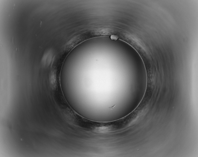 X0000094070312200710191125