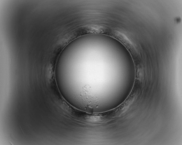 X0000094070318200710191125