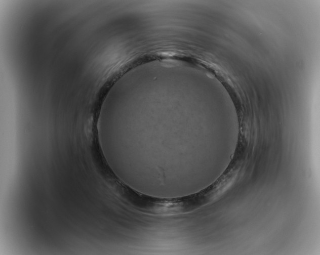 X0000094070319200710191125