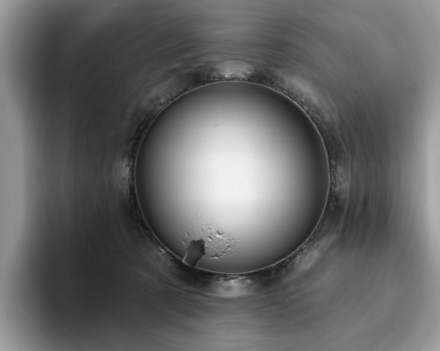 X0000094070321200710191125