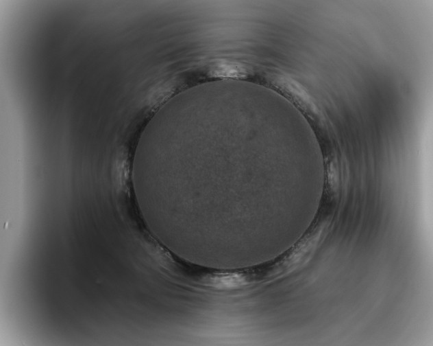 X0000094070322200710191125