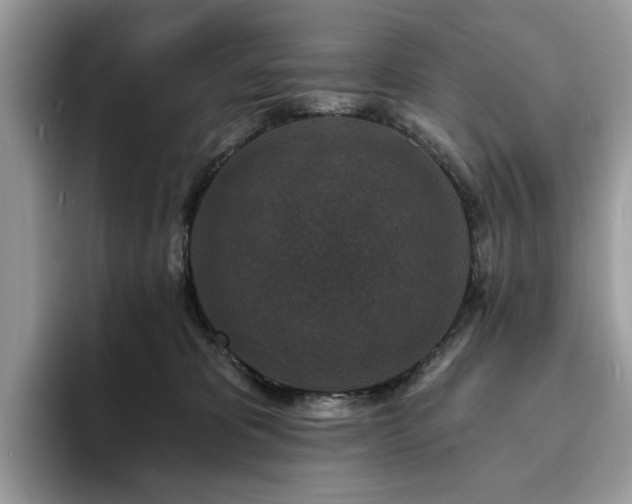 X0000094070325200710191125