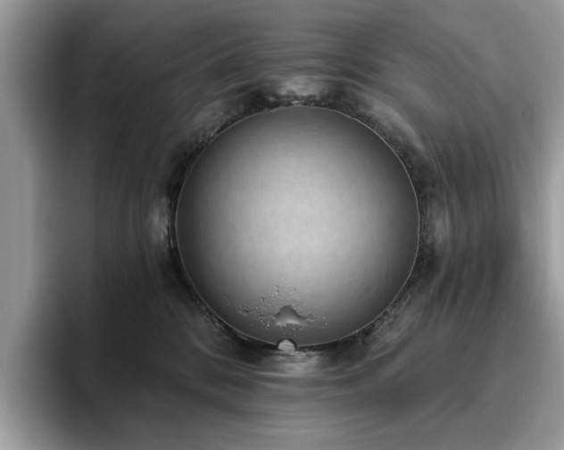 X0000094070328200710191124