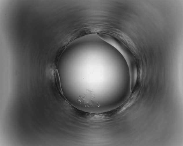 X0000094070329200710191124