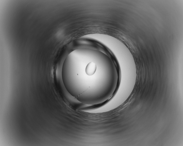 X0000094070333200710191124