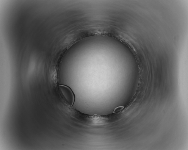 X0000094070336200710191124