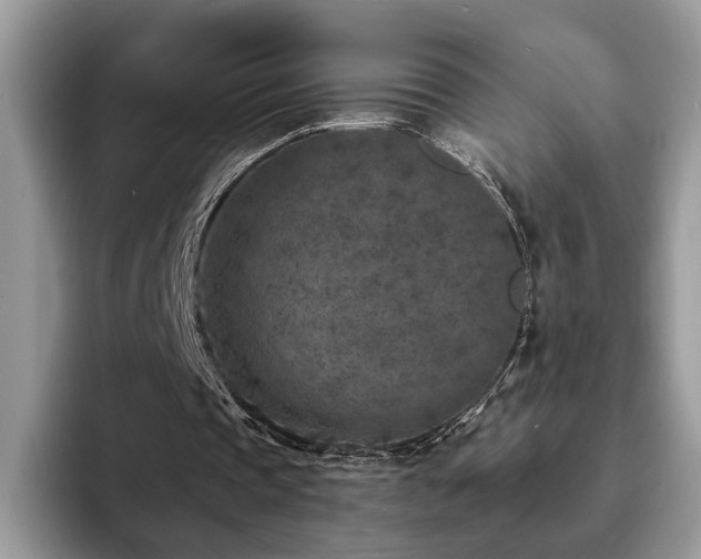 X0000094070337200710191124