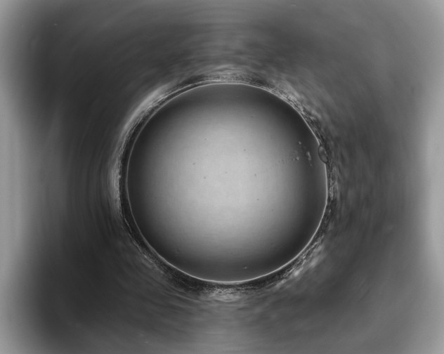 X0000094070341200710191124