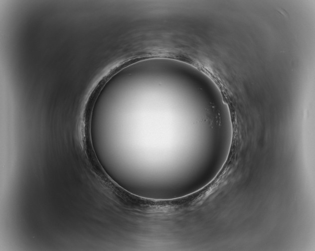 X0000094070342200710191124