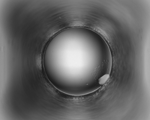 X0000094070345200710191124