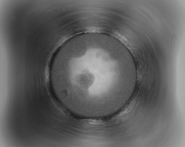 X0000094070347200710191124