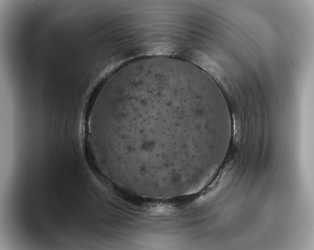 X0000094070348200710191124