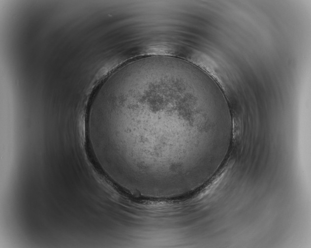 X0000094070349200710191124