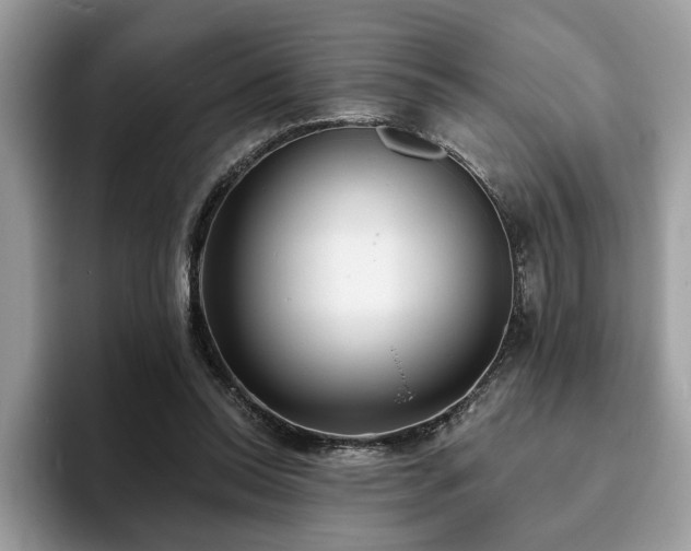 X0000094070350200710191124