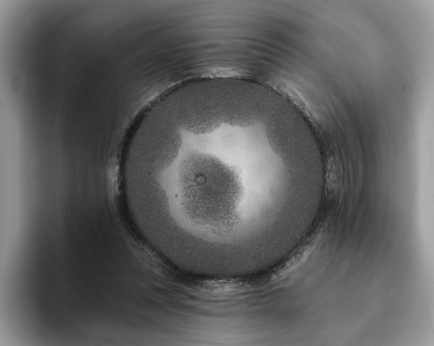 X0000094070351200710191124