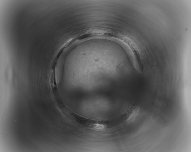 X0000094070352200710191124