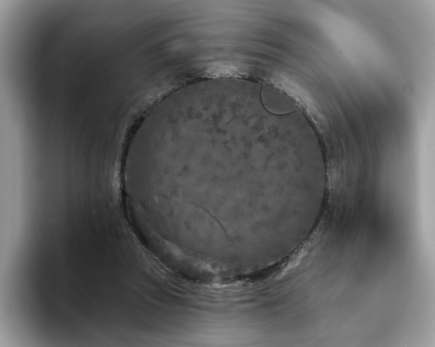 X0000094070353200710191124