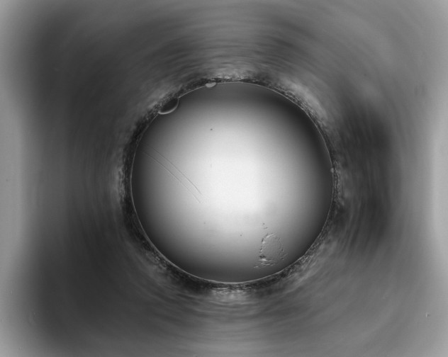 X0000094070354200710191124