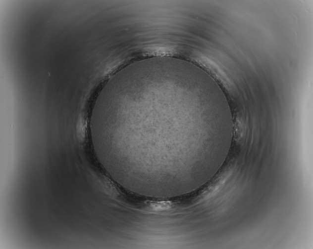 X0000094070355200710191124