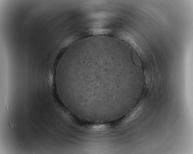 X0000094070357200710191124