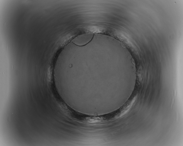X0000094070359200710191124