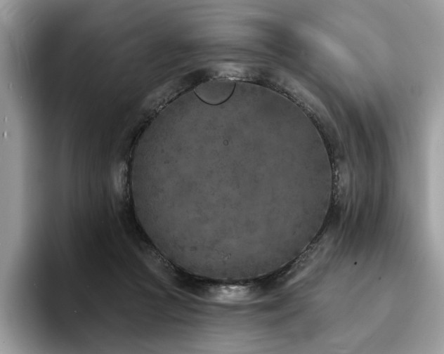 X0000094070361200710191124