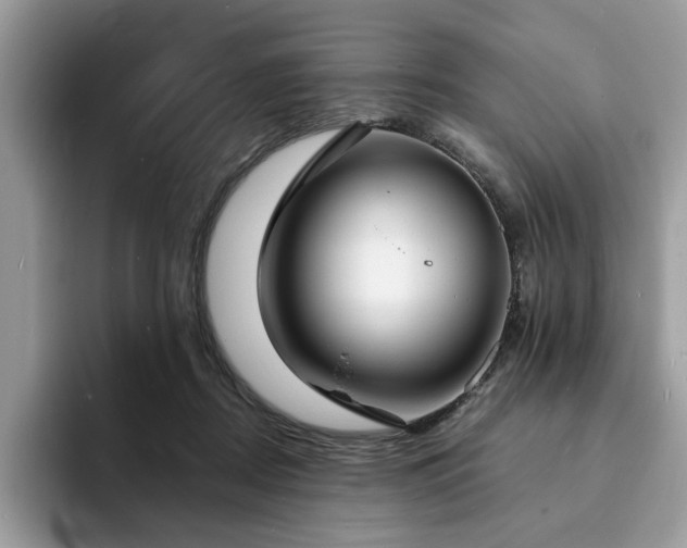 X0000094070362200710191124