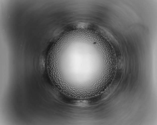 X0000094070363200710191124
