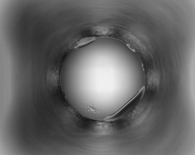 X0000094070376200710191124