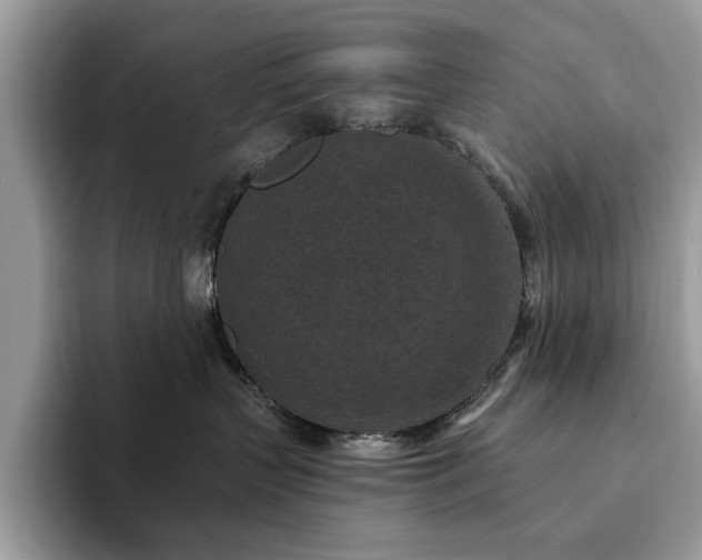 X0000094070383200710191124