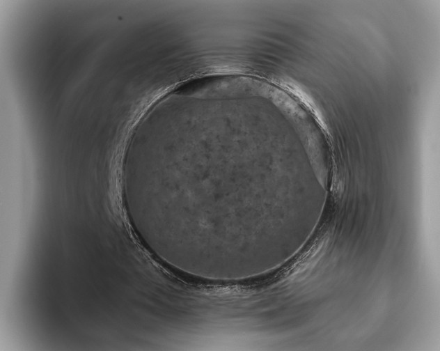 X0000094070385200710191124
