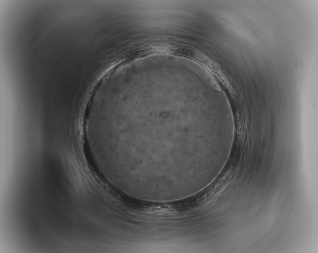 X0000094070386200710191124