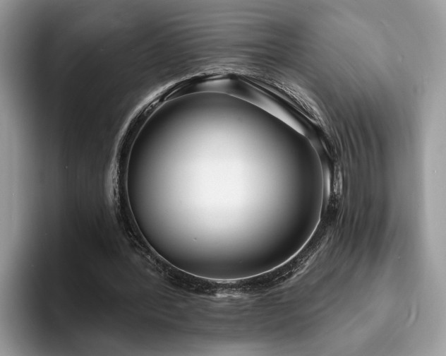 X0000094070388200710191124