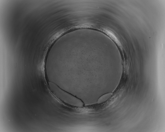X0000094070389200710191124