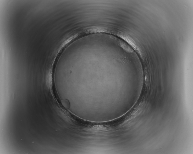 X0000094070390200710191124