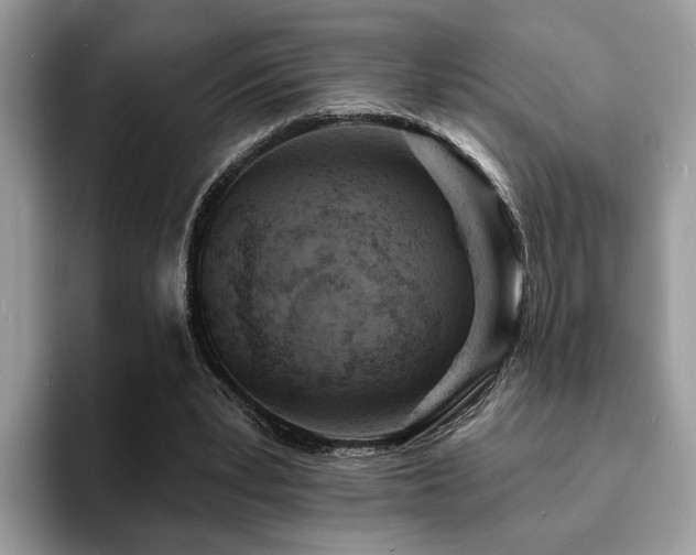 X0000094070391200710191124