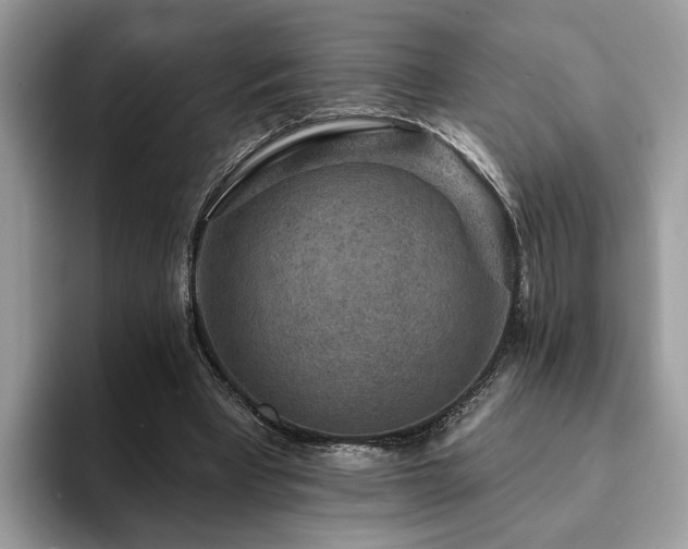 X0000094070393200710191124