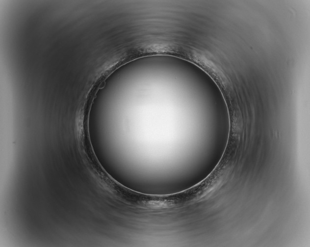 X0000094070394200710191124