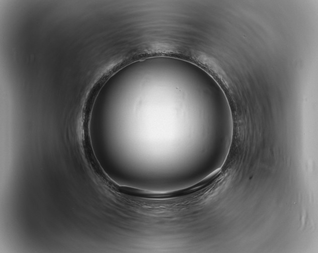 X0000094070395200710191124