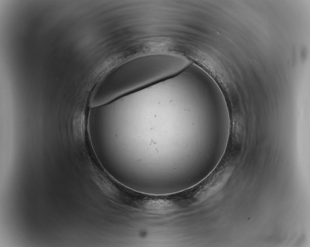X0000094070397200710191124