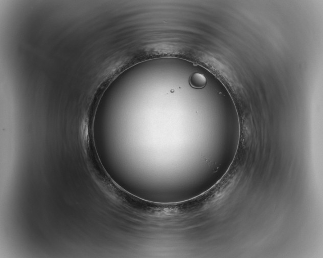 X0000094070398200710191124