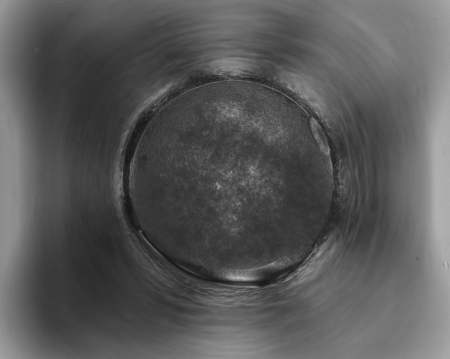 X0000094070399200710191124