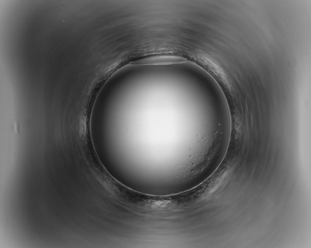 X0000094070401200710191124