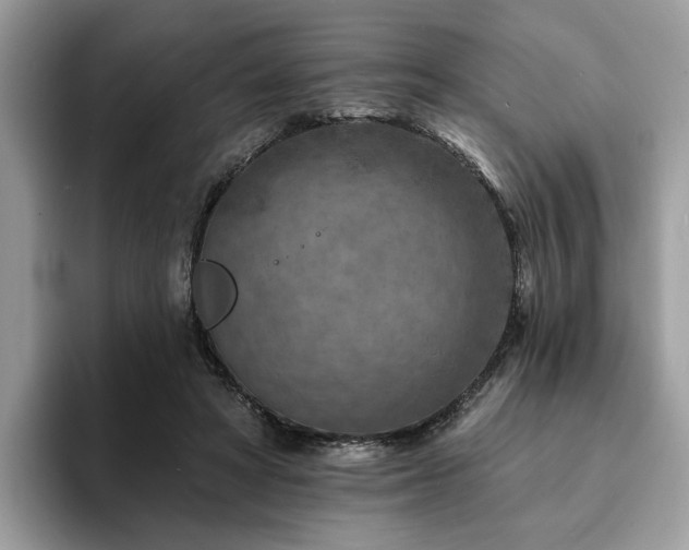 X0000094070402200710191124