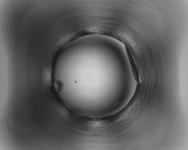 X0000094070404200710191124
