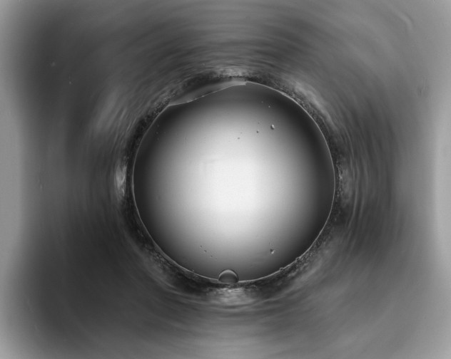 X0000094070406200710191124