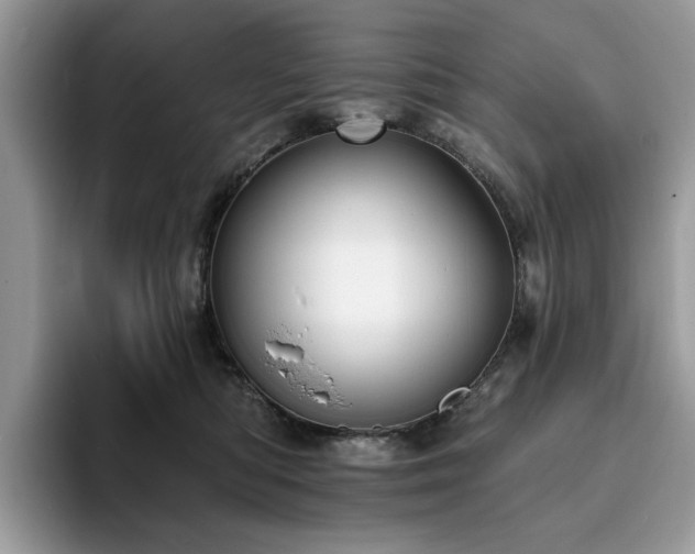X0000094070422200710191123