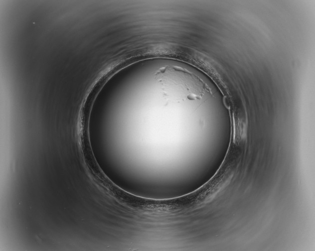 X0000094070435200710191123